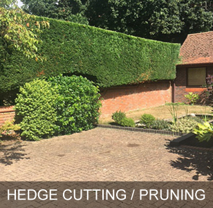 Hedge Cutting Haslemere